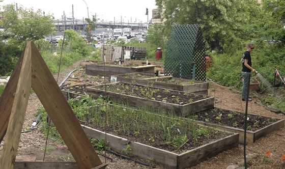 Smiling HogsHead Ranch