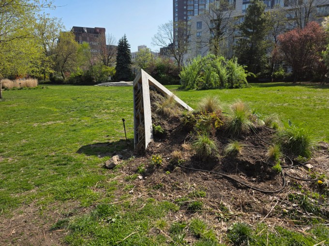 Existing "Invasive Species" exhibit at Socrates Sculpture Park. Photo: Shane O'Brien.